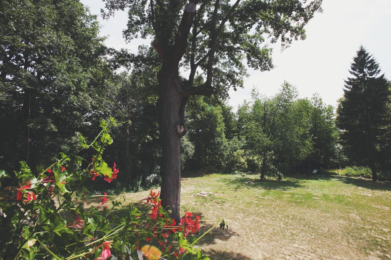 Hubertus Fogadó Csesznek Exterior foto